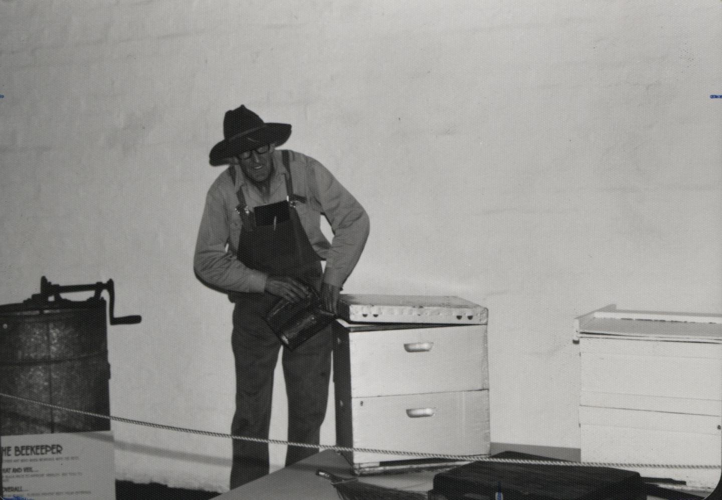 Samuel Charles Cook demonstrating bee smoking in c1980