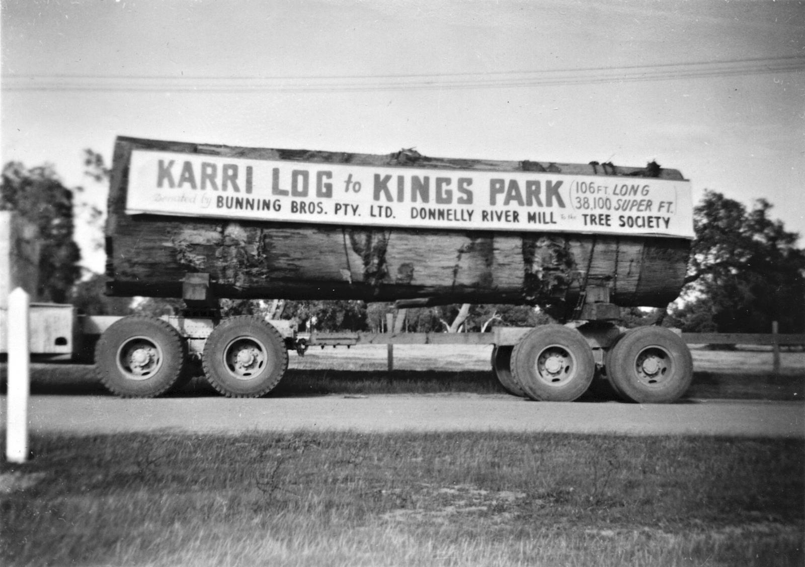 Elizabeth Karri tree transported from Donnelly River August 1958 to Kings Park