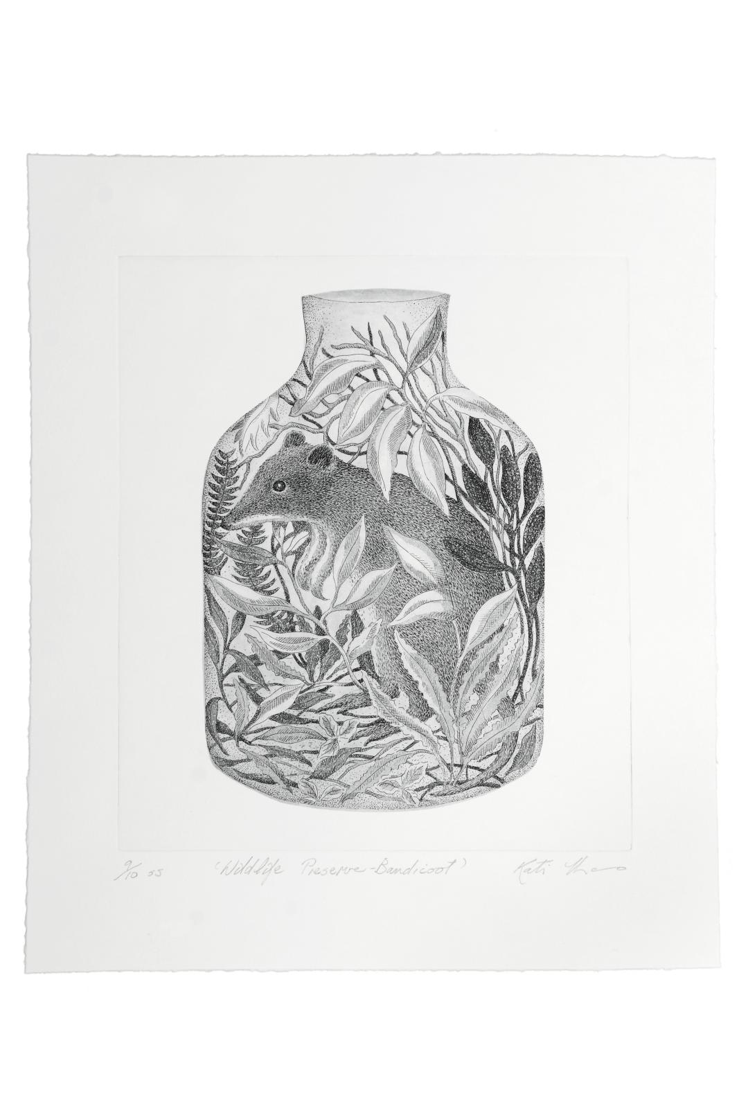 Wildlife Preserve - Bandicoot 5/9 etchings