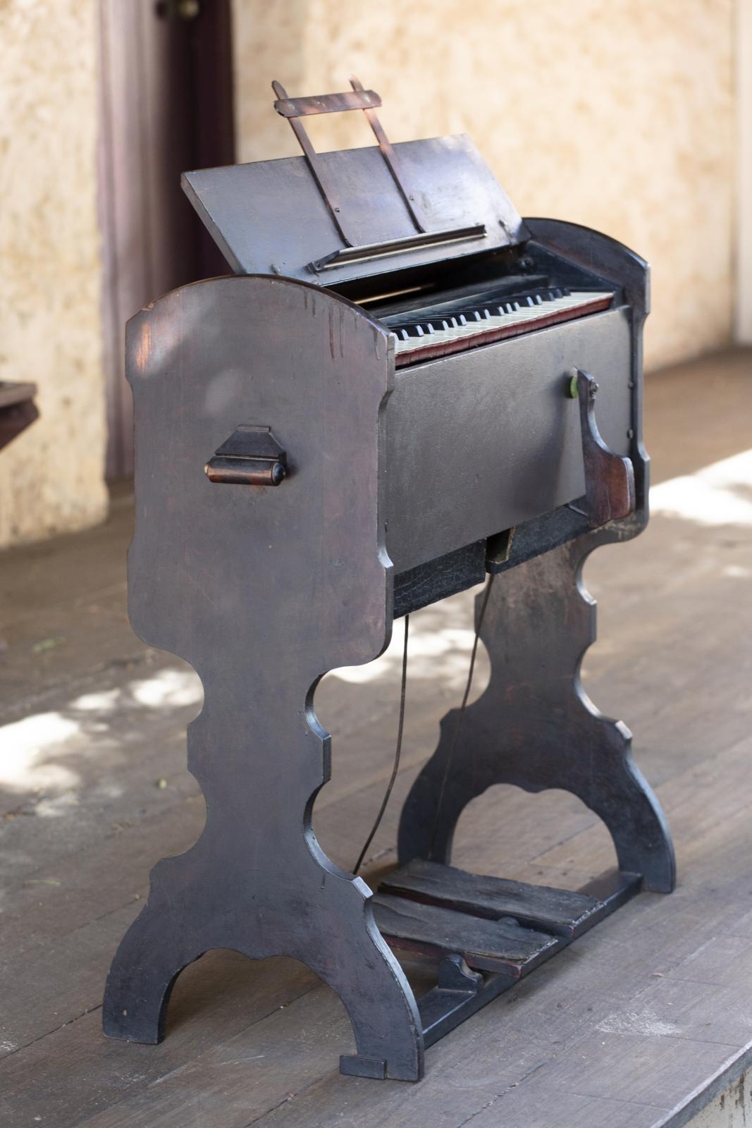 Organ side view.