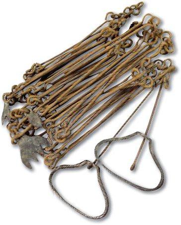 Surveyors Gunters Chain | Collections WA