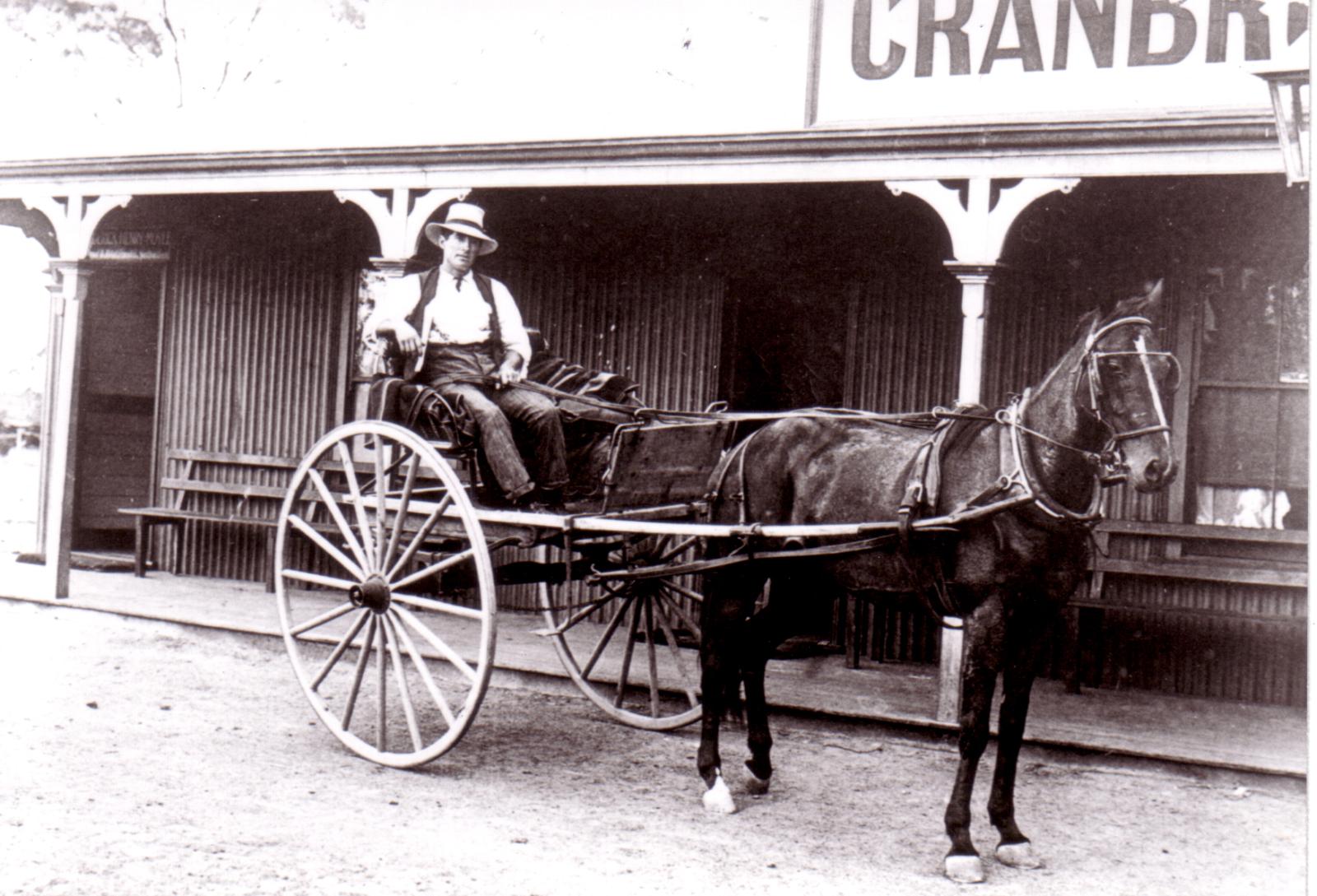 Syd Gillam sitting in buggy, in front of Cranbrook Hotel.  Circa 1912.