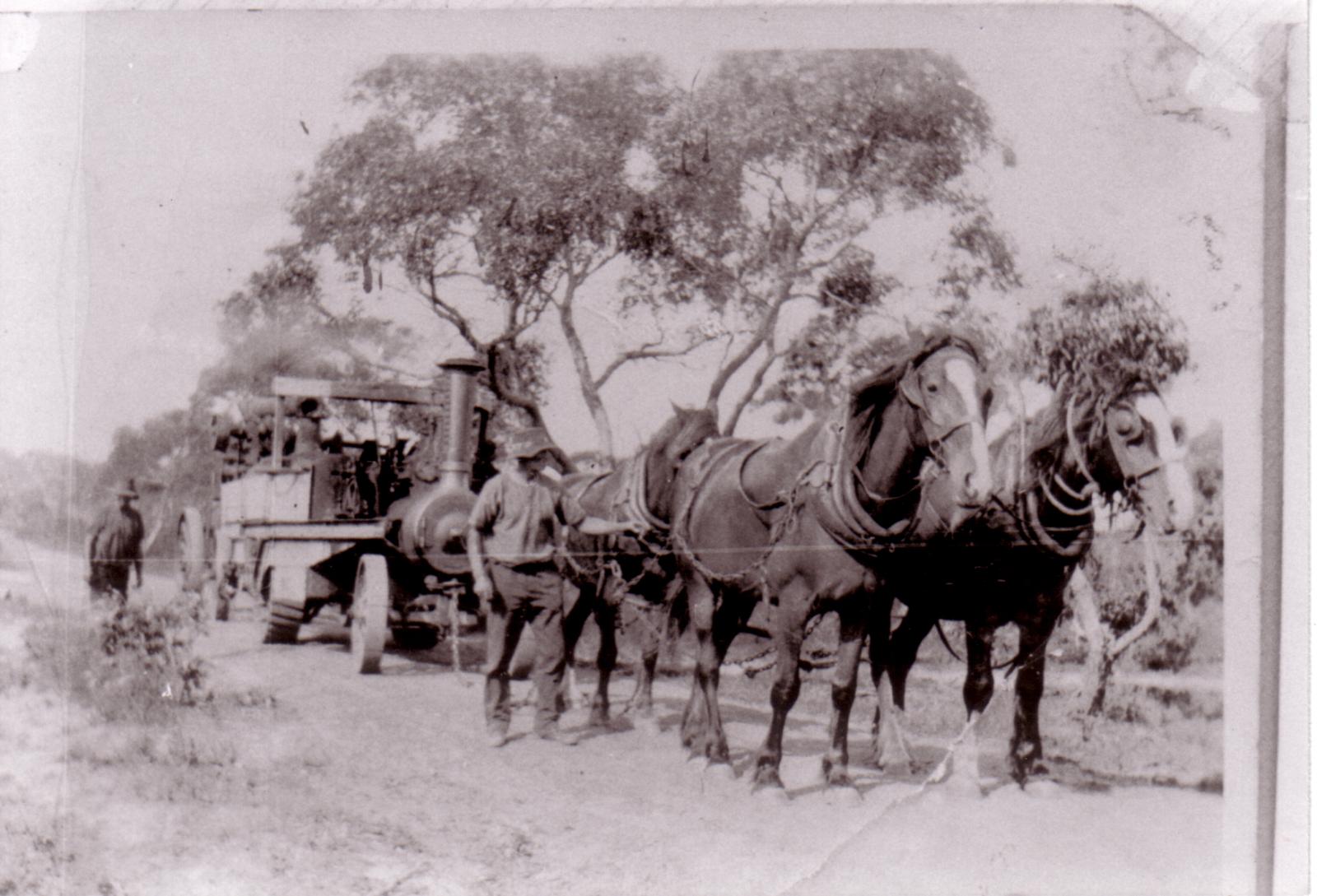 Alec Stirling Shifting Steam Engine & Sawmill.  Taken near Kellys property, Yeriminup Road.