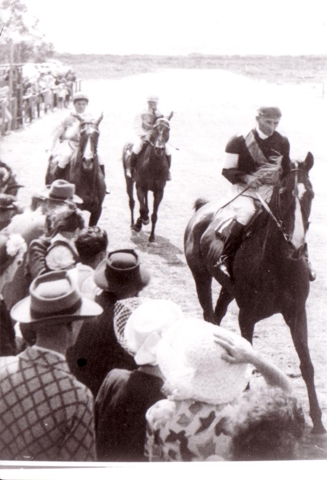 Winner of the Cranbrook Cup, "Seagull", with jockey Jack Edwards & owner Claude Parsons.