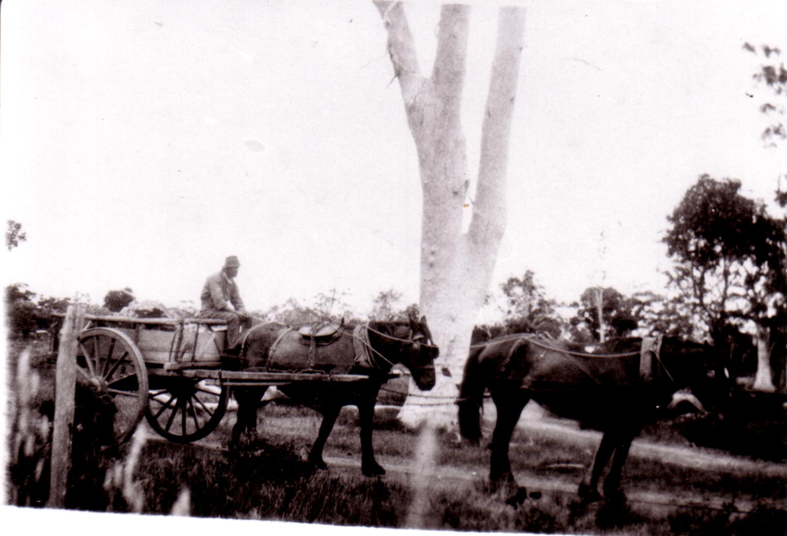 William & Thomas Betts Carting Stone To Build St. Mildreds Church. Tenterden