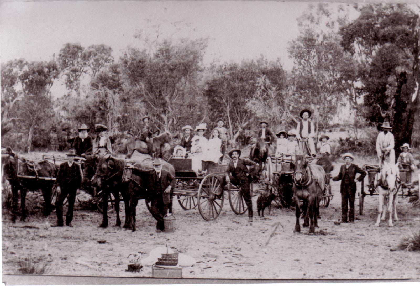 Picnic at Gordon River