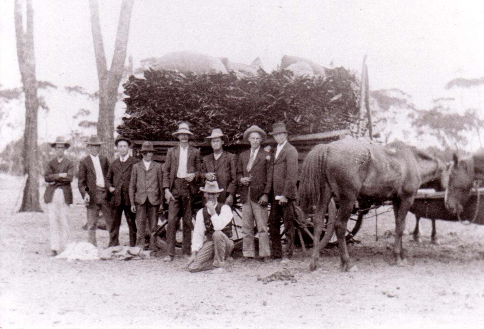 Load Of Mallet Bark At Old Reserve Yard.