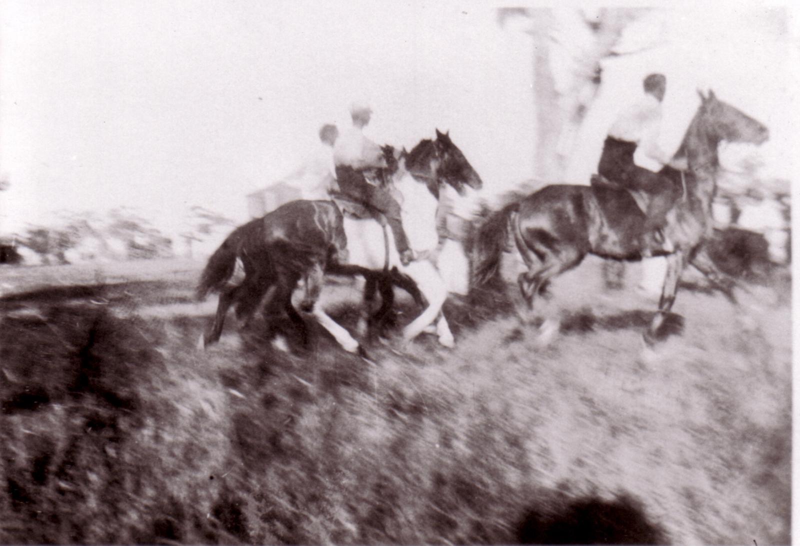 A Race Day At Gordon River  Three Horses Racing At Gordon River.