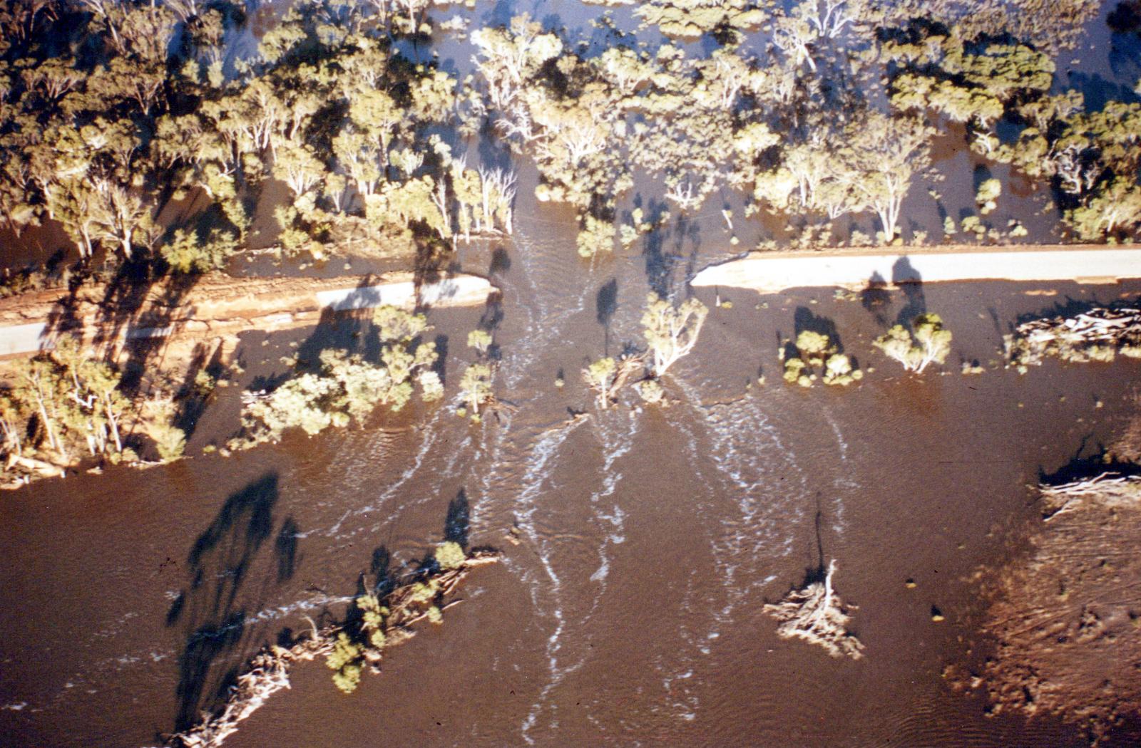 Aerial View Of Shamrock Road