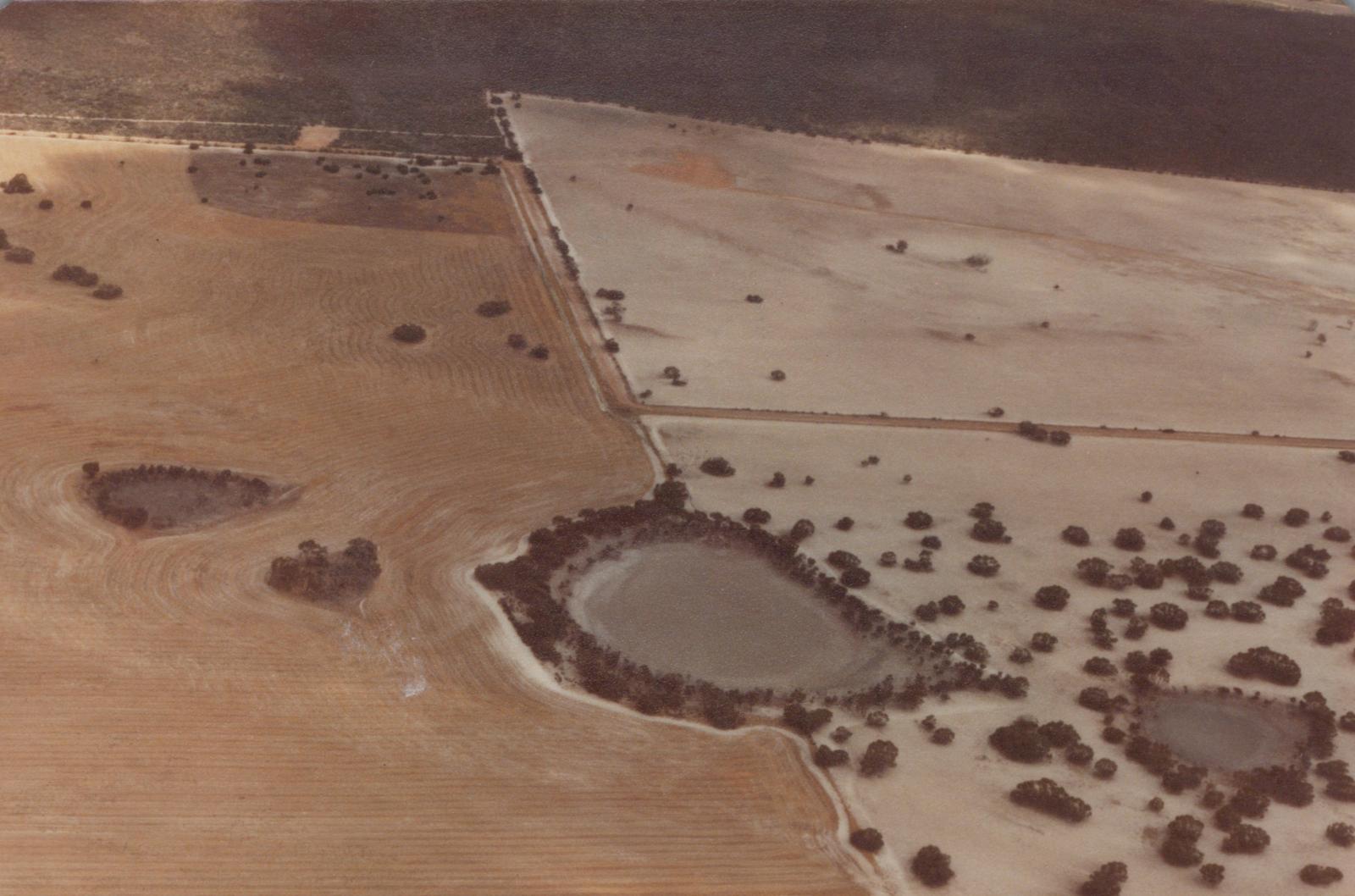 Cranbrook Northern Lake System, 12 Months After Flood.