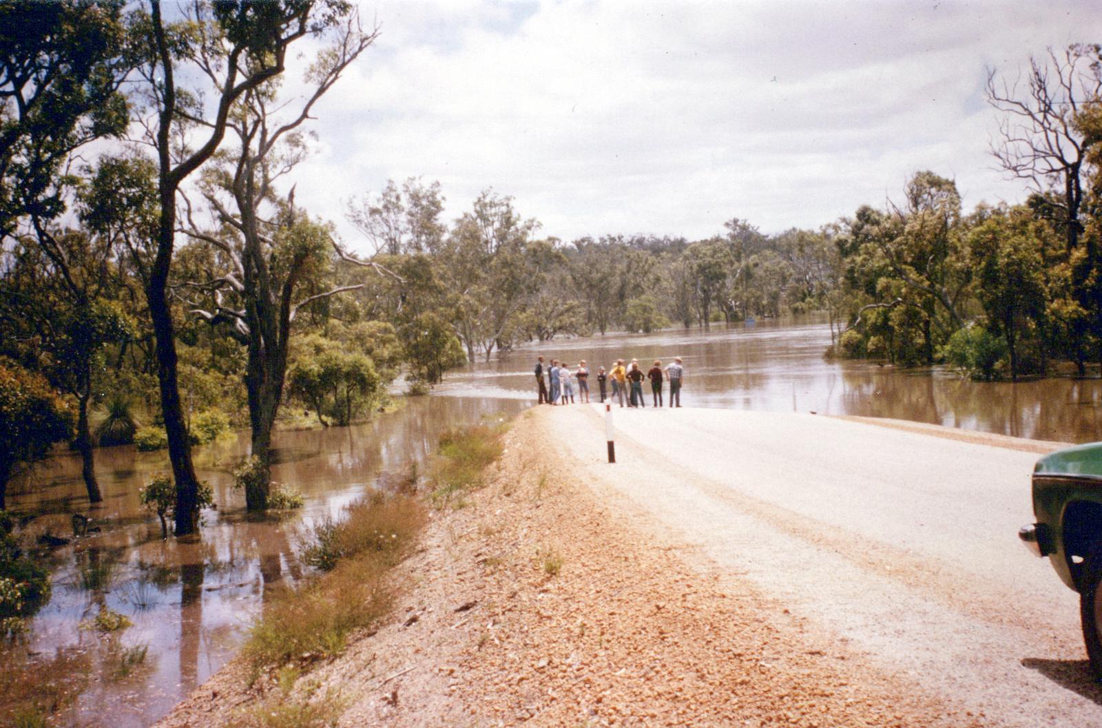 Muir Bridge