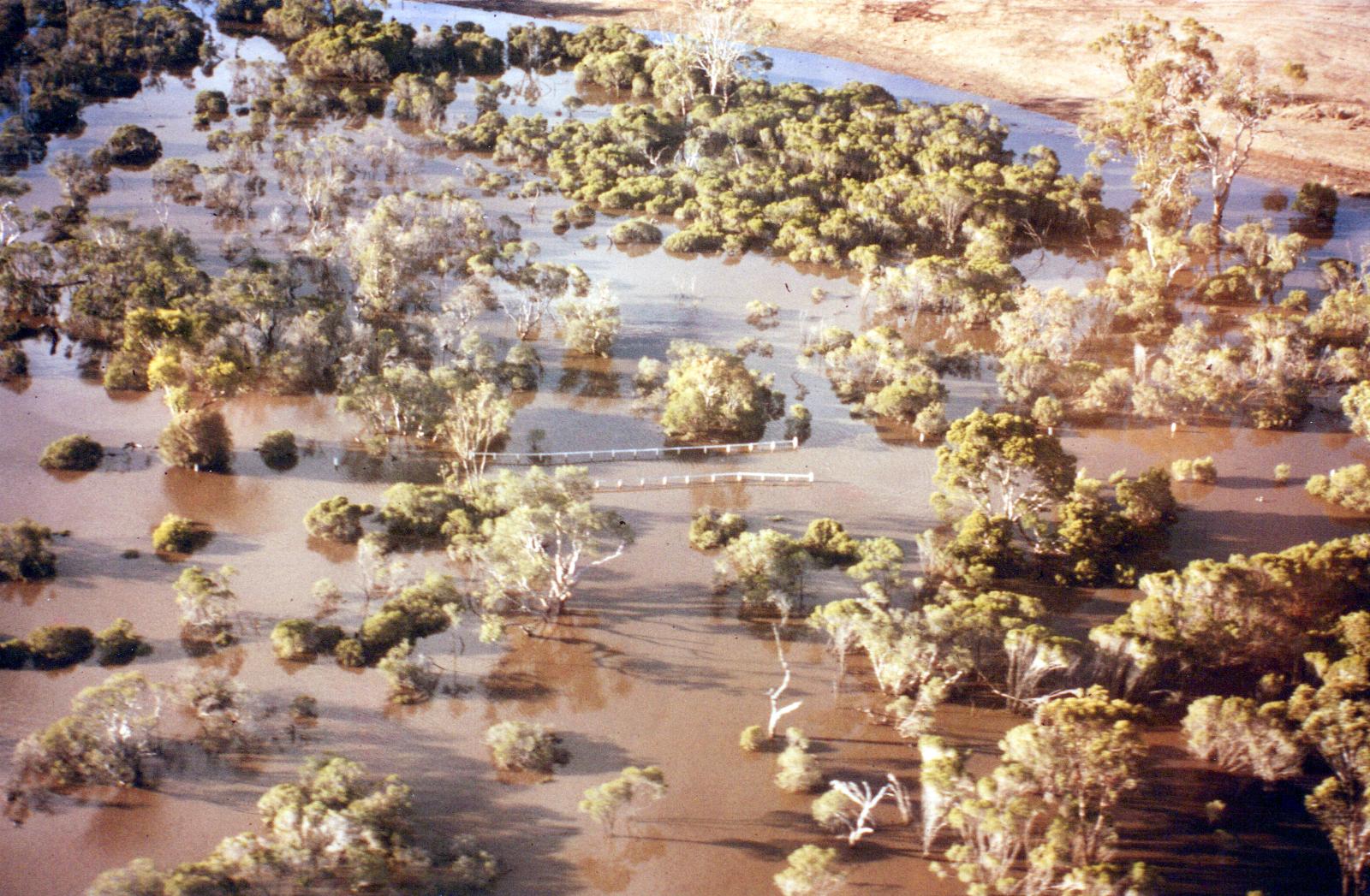 Towerlup Brook in full flood.