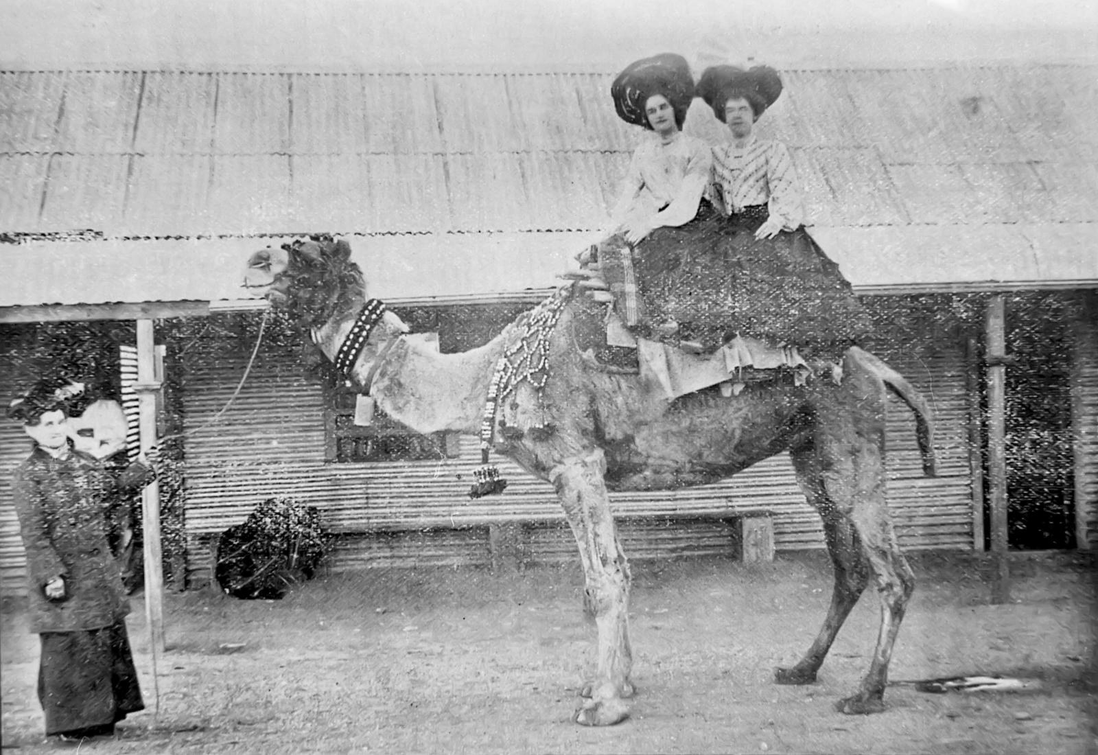 Two women sit side-saddle on a camel with its lead held by another woman.