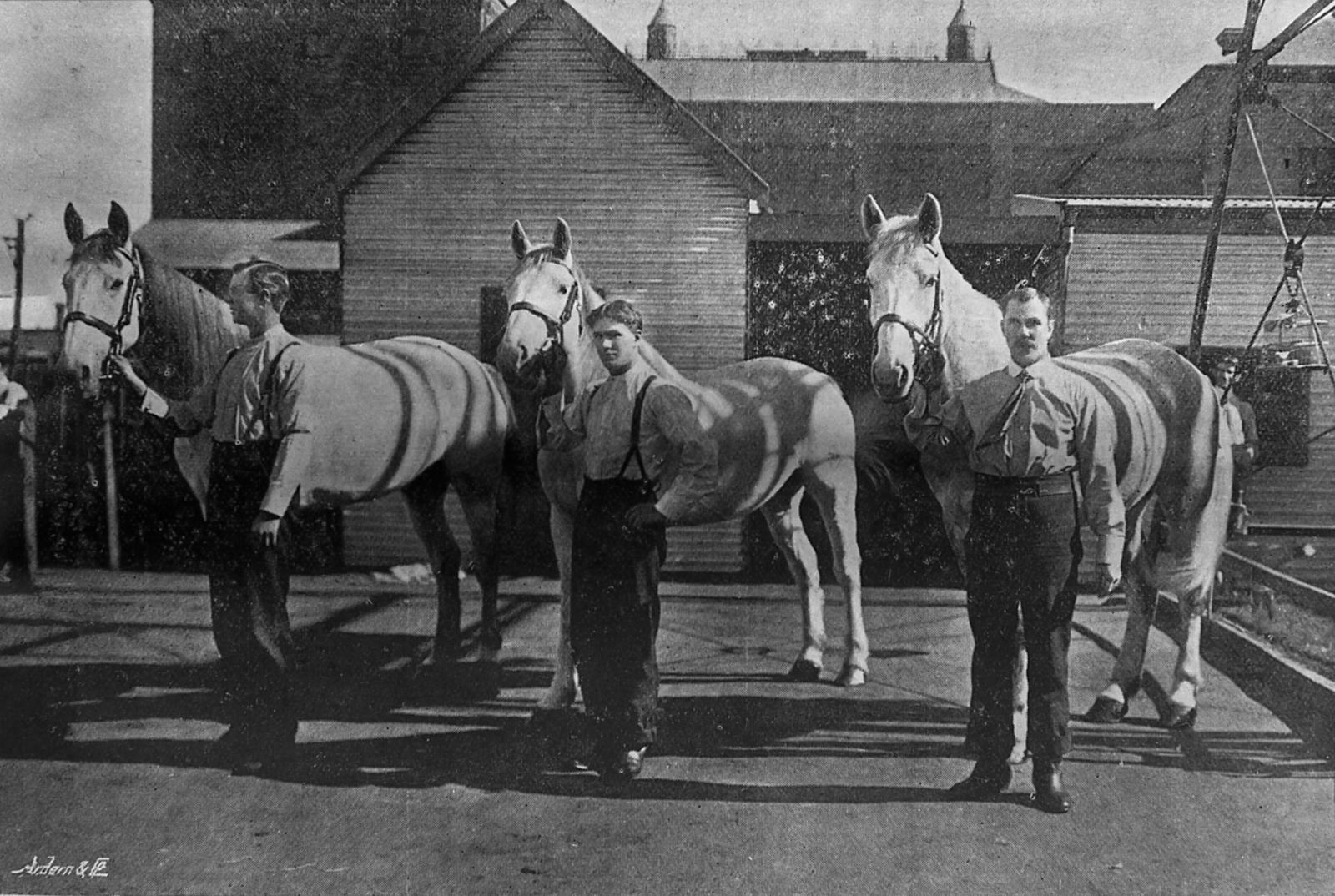 Three men pose with three horses in front of a building.