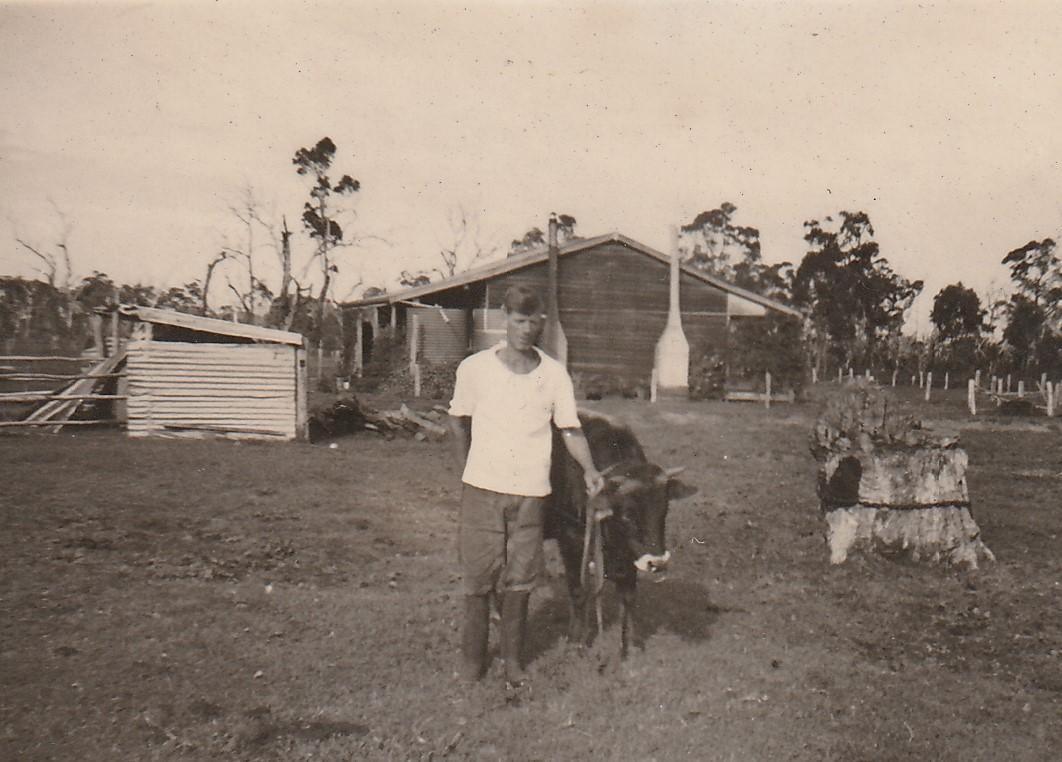 View of Group 28 farm, Acton showing cow shed to the left