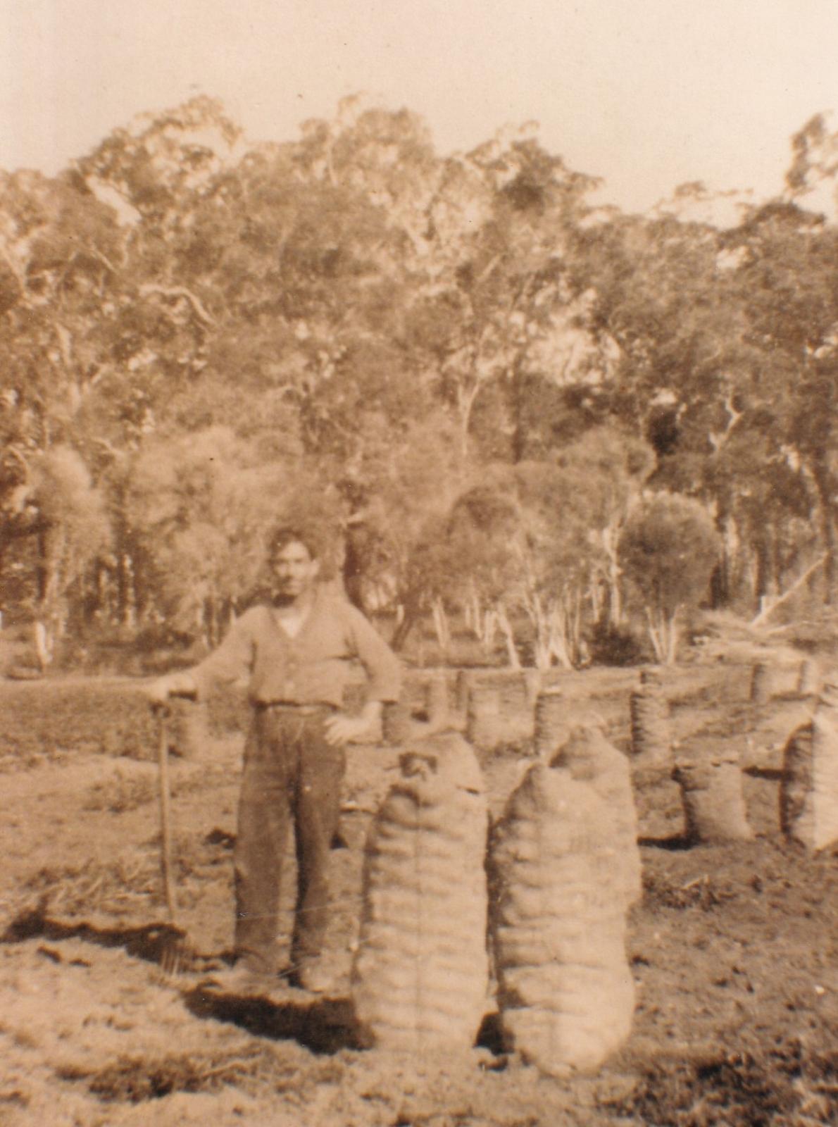 A young Charles Sutton in his potato field