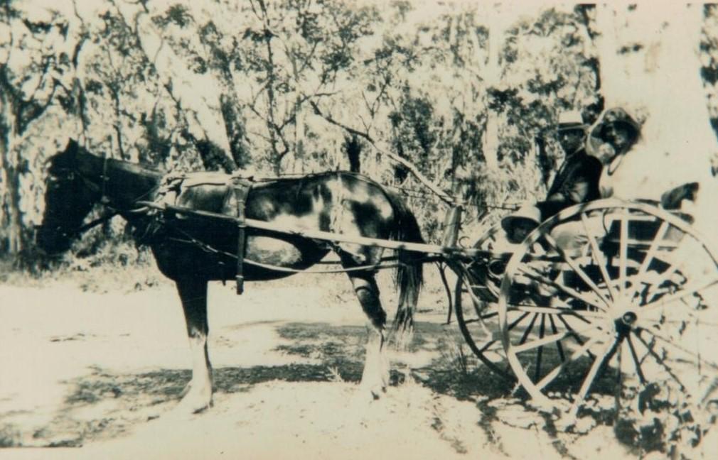 Horse & Sulky belonging to Higgins family, Group 60, Metricup