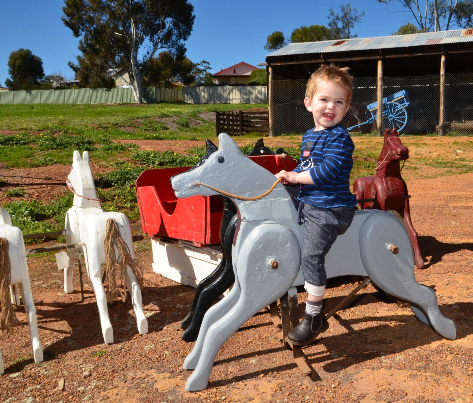 merry go round horses and carriages