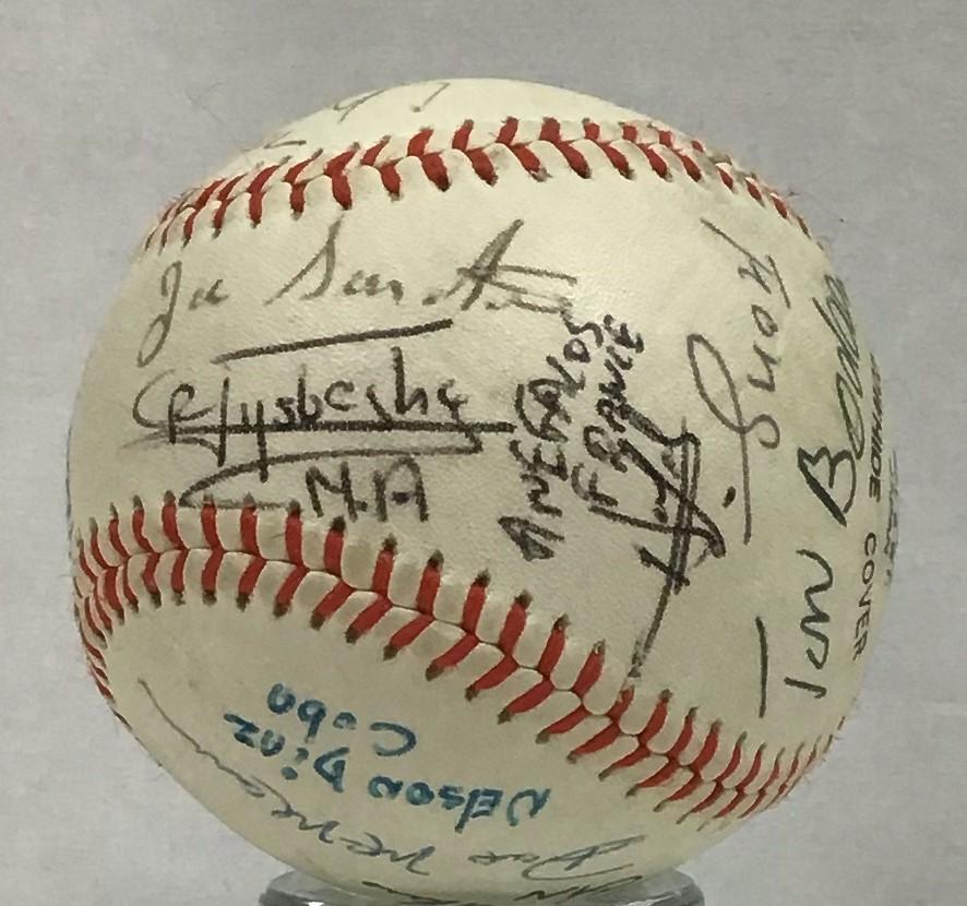 Baseball signed by International Series umpires