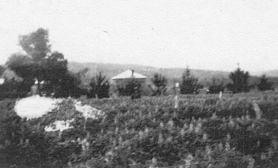 House at lot 42 Haddrill Road, Baskerville, c1944.