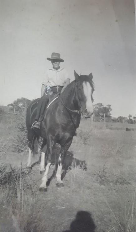 Dennis Walker on his working horse used for cattle stock work. Dennis is about 15 years old, c1950..