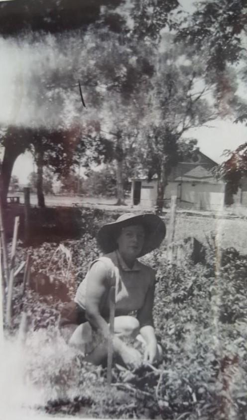 Shylie Walker tending to her vegetable garden at the Whiteman Brick Office home, 1961. Middle Swan Oval (now Jack Mann Oval) can be seen in the background. 