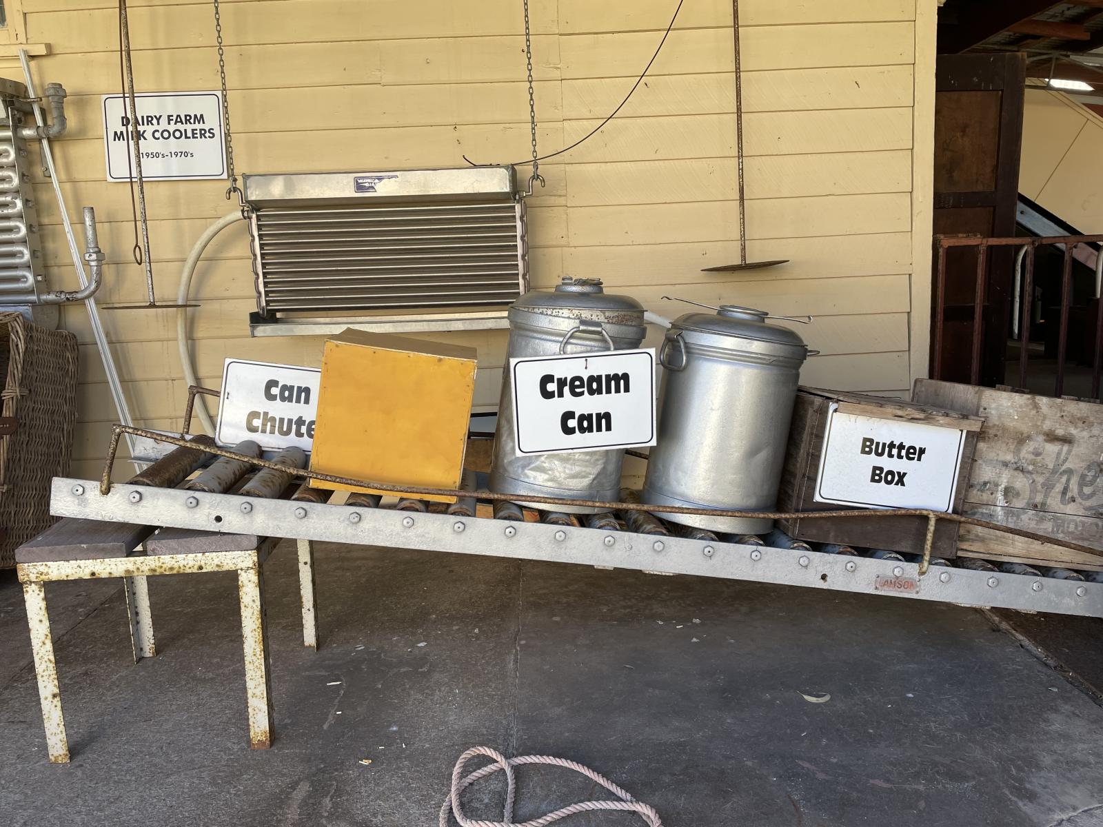 Cream cans on the conveyor feed to the Cream Can Sterilizer