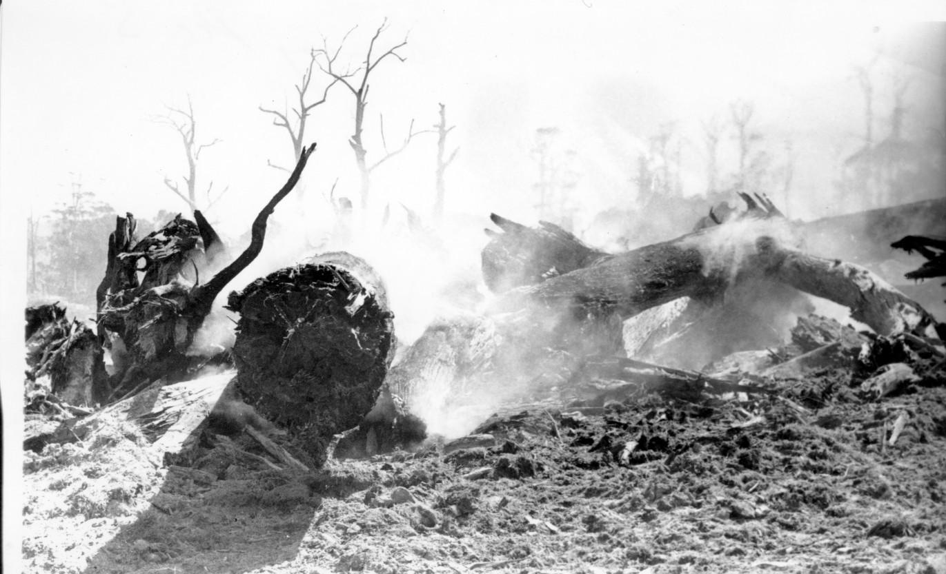 Land clearing fire.