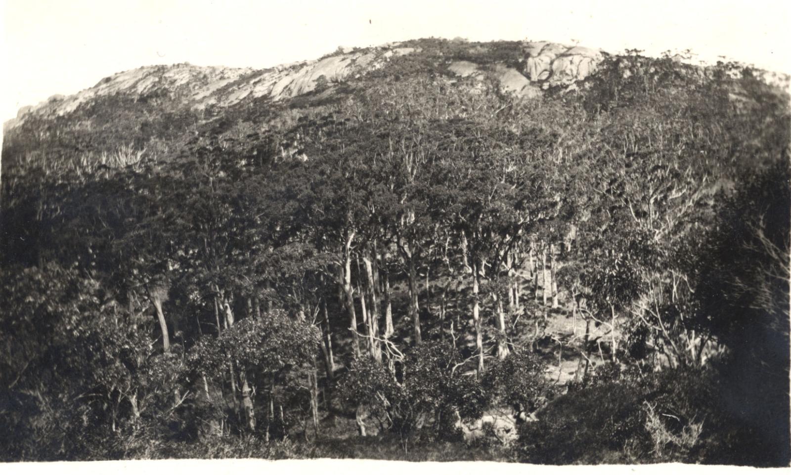 The Pass, Porongurup.