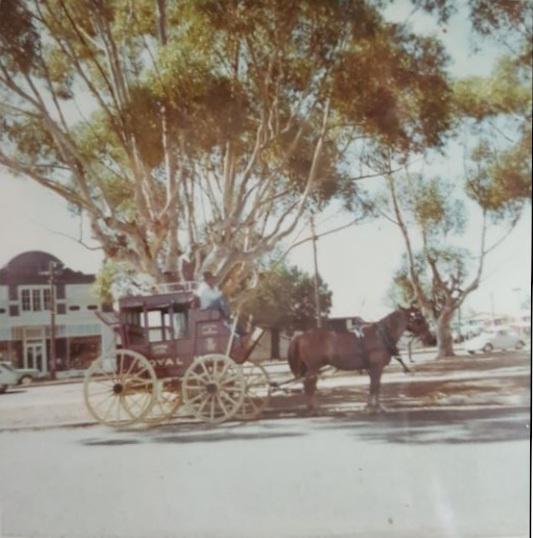 Cobb & Co coach, owned by Lew Whiteman, in Guildford.