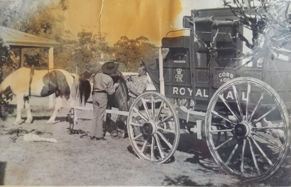 P25-04. Lew Whiteman's workmen hitching up horses to the Cobb & Co coach. The horses and coach were used in various parades and were housed at Lew Whiteman's property called The Dairy in Guildford.