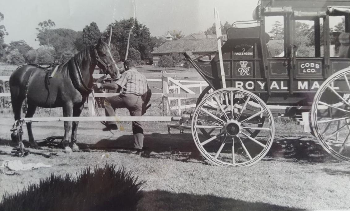 P25-09. One of Lew Whiteman's Cobb & Co coaches, early 1970s. The building in the background housed numerous horse-drawn coaches. 