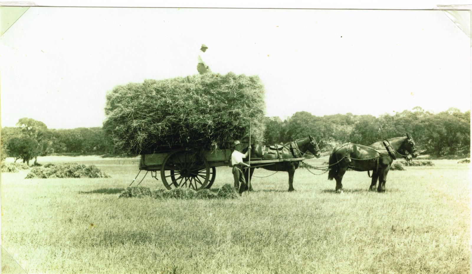 Hay cart