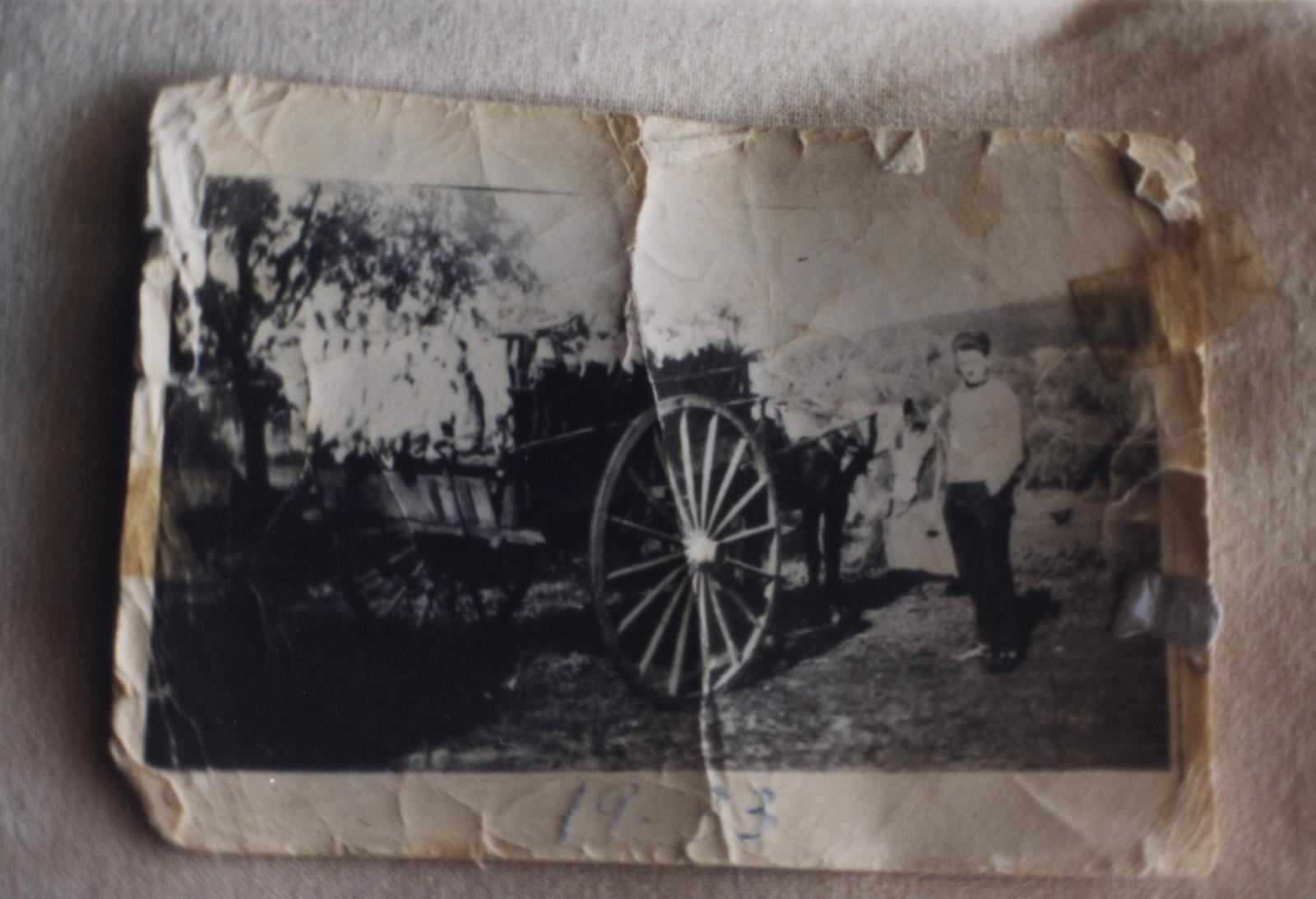 photo of a photo of man, horse & cart, & rabbits