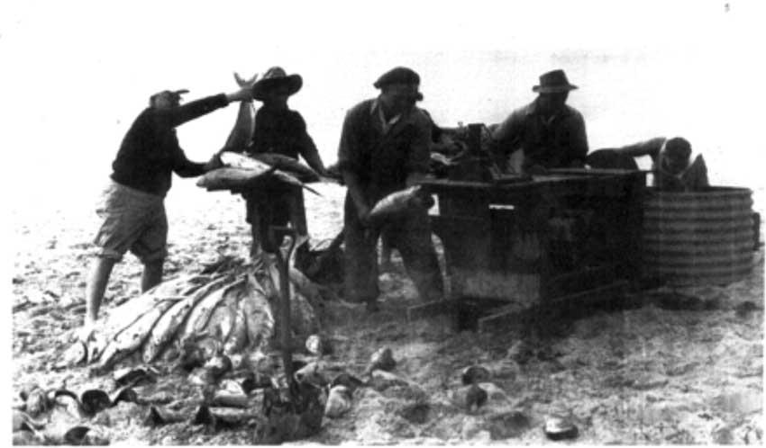 The Salmon Clean Bench in action at Eagle Bay.