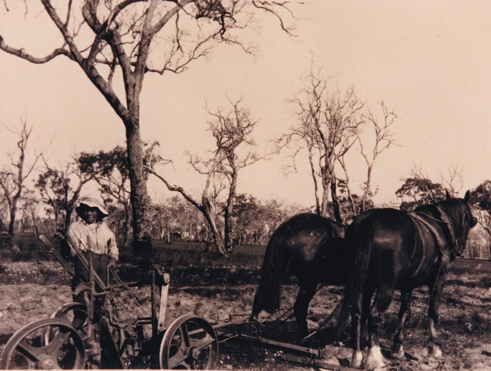 2 horses pulling a plough on the block of Irons Family. 