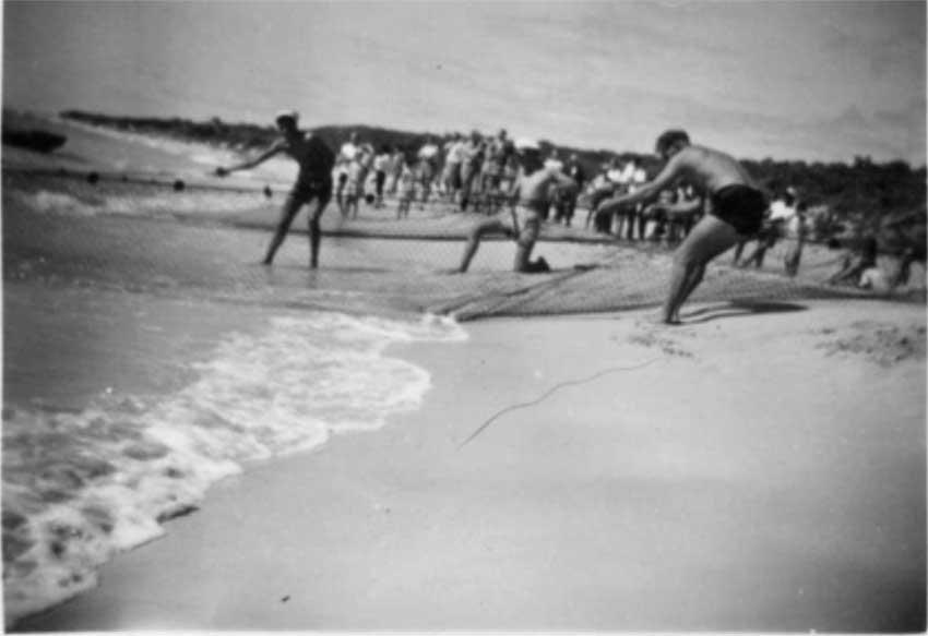 Local farmers helping to pull in the Seine nets at Eagle Bay.