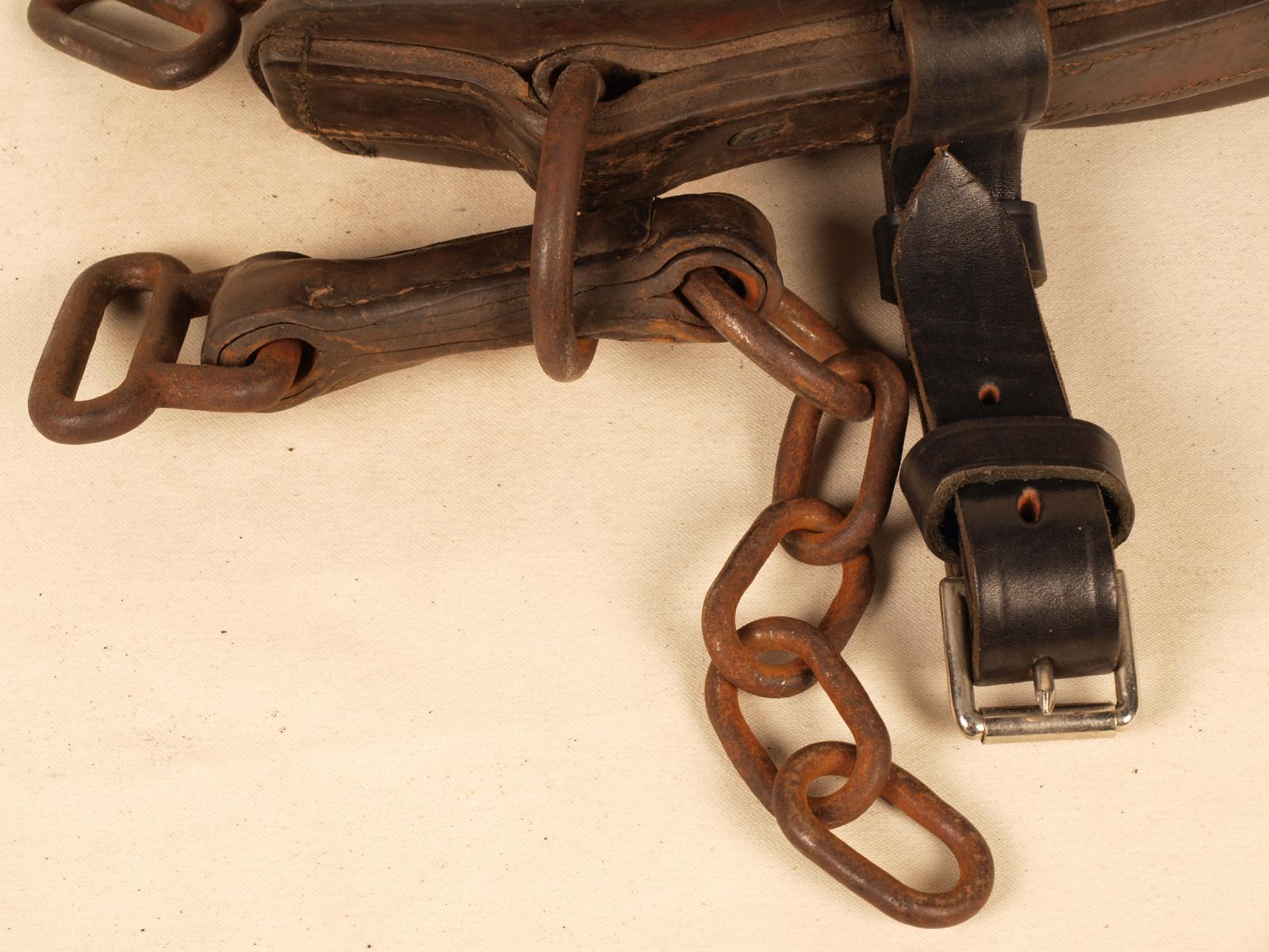 Closeup of metal chain and leather straps attached to brown leather horse collar.