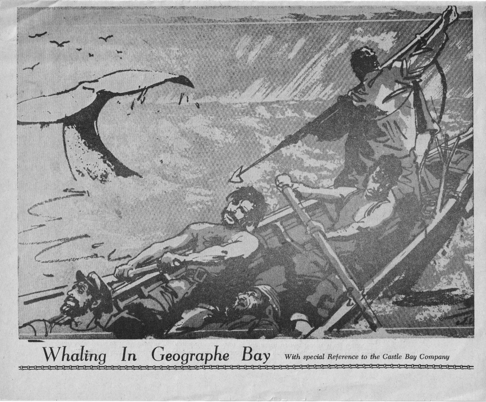 Whaling in Geographe Bay