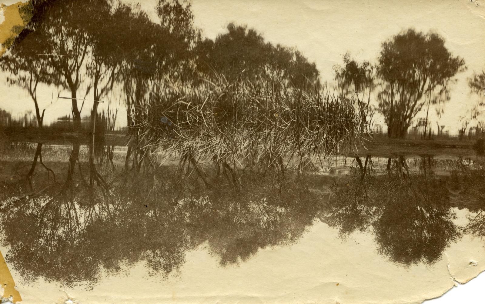 PHOTOGRAPH: VIEW OF LAKE JUALBUP (SHENTON PARK LAKE, DYSON'S SWAMP), 1911