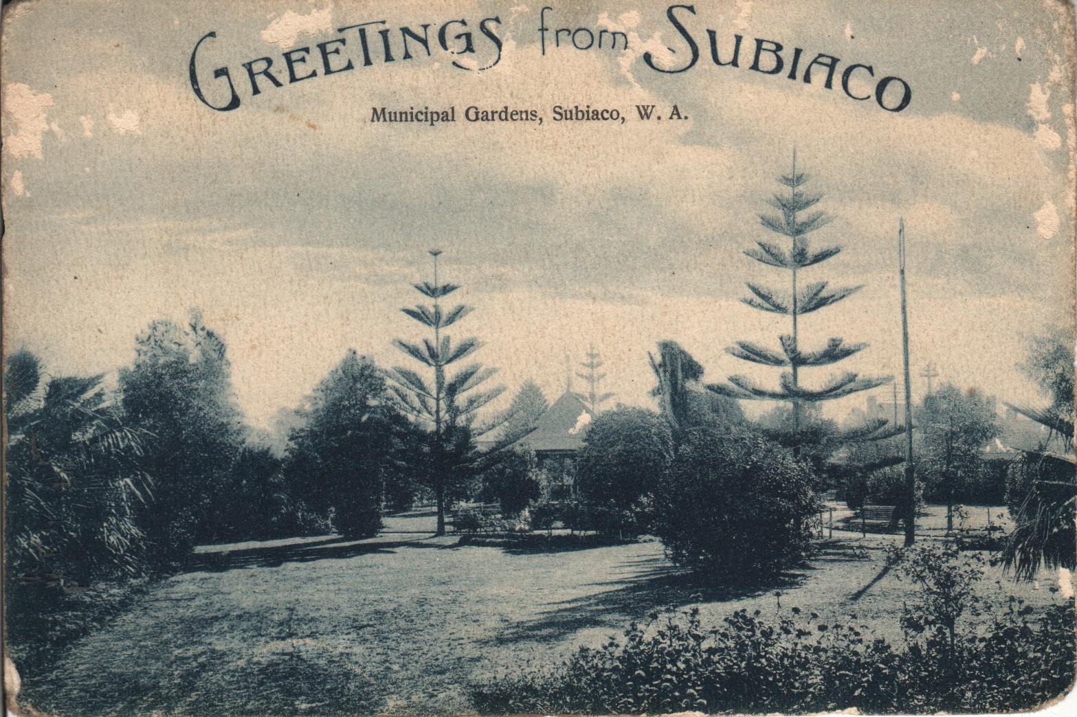 POSTCARD: 'GREETINGS FROM SUBIACO, MUNICIPAL GARDENS, SUBIACO. W.A.'