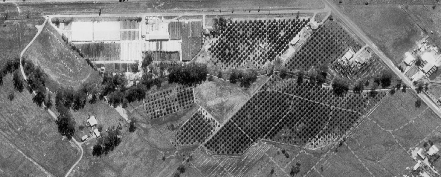 aerial photograph looking down on a series of green houses, other buildings and orchards