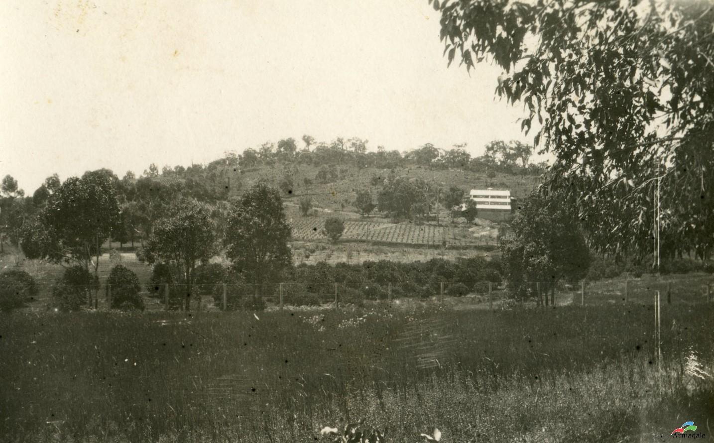 Black and white photograph looking across long grass, then an orchard, towards a hill. On the hill are vines and a three layered cellar building. On the crest of the hill are gum trees