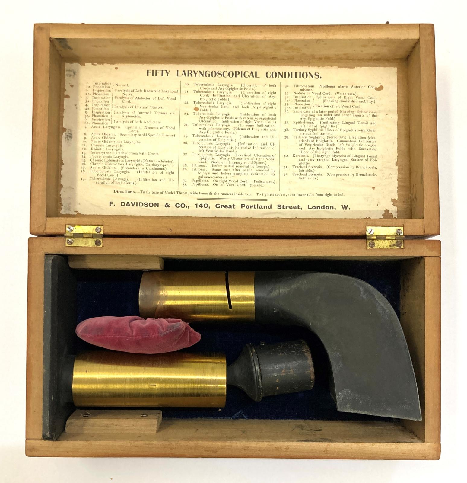 Model larynx teaching aid, dismantled and stored in wooden box