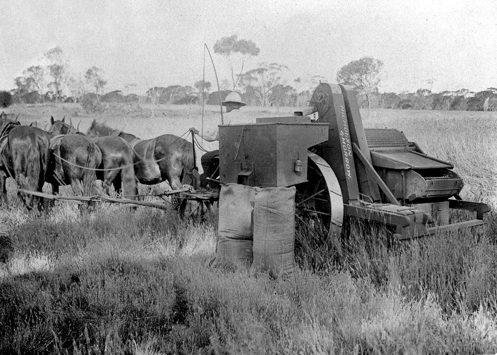 digitally enhanced Harvesting at Twine farm at Yulgering