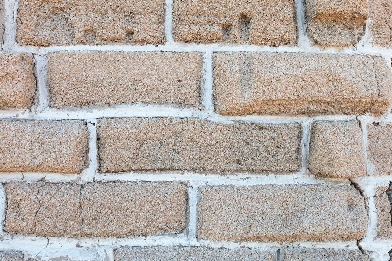 Bricks made of shells