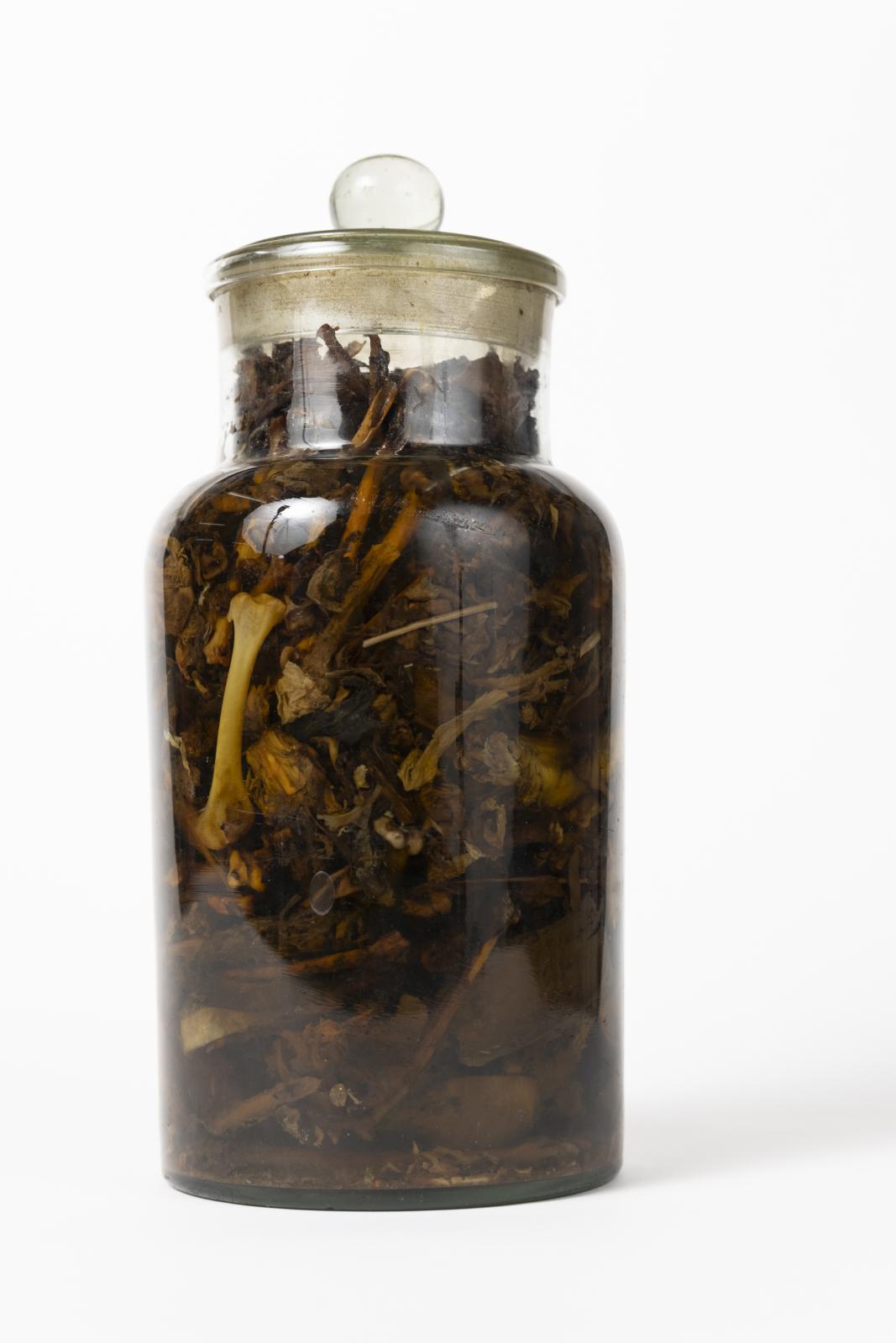 jar of animal remains