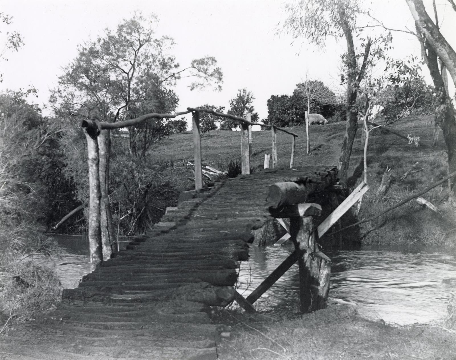 P1997.189 Footbridge over Southern River c1920