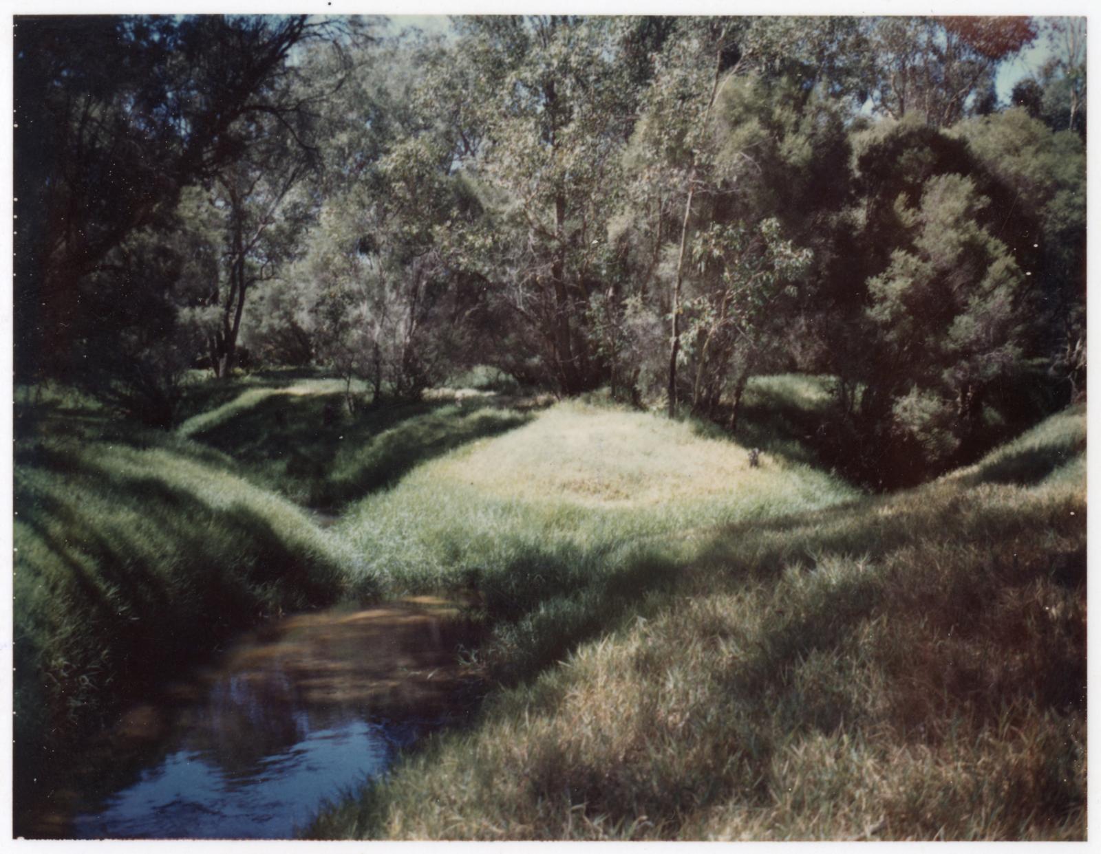 P2007.521A Junction of Canning and Southern Rivers