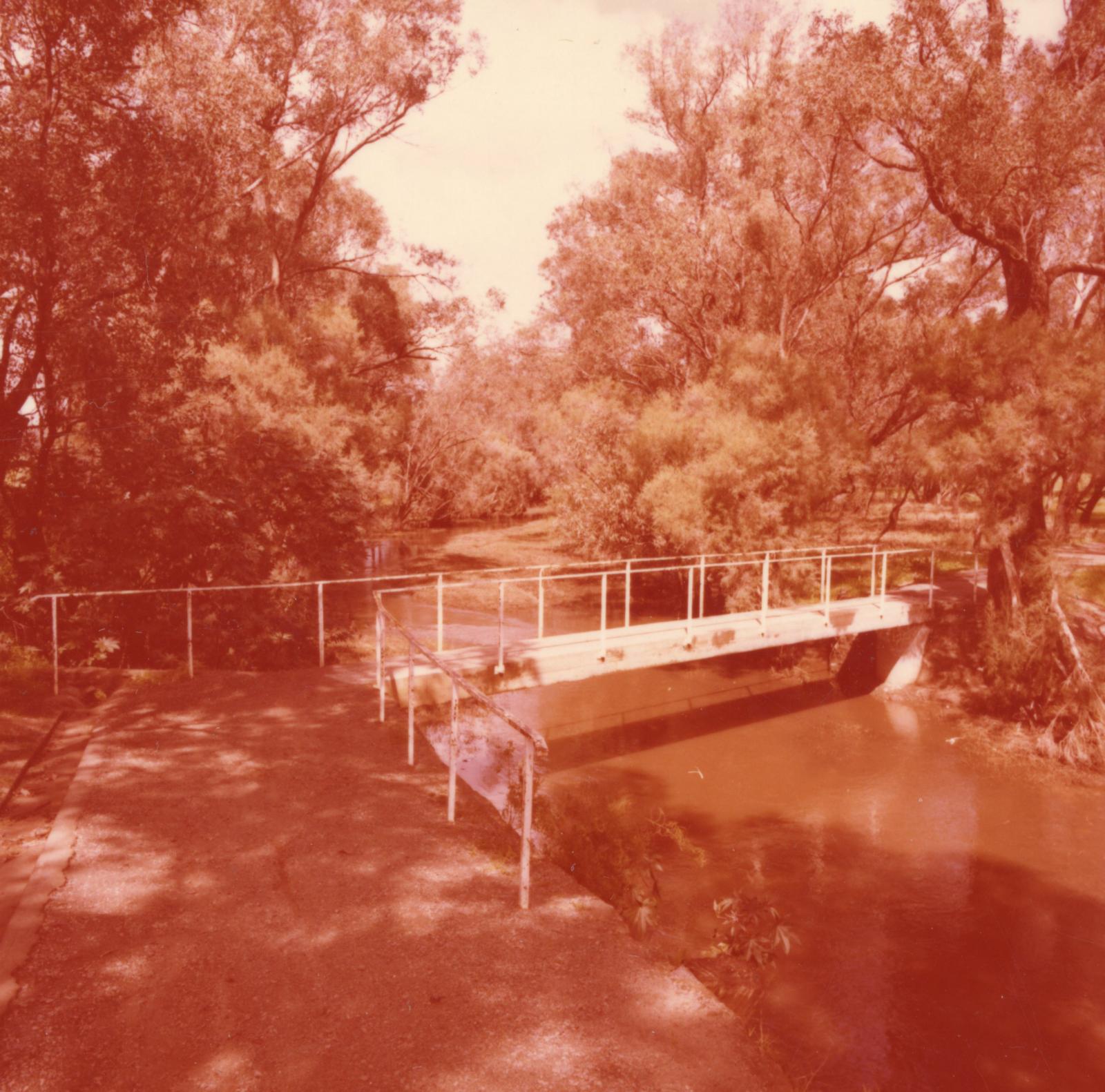 View of Manning Ave Footbridge 